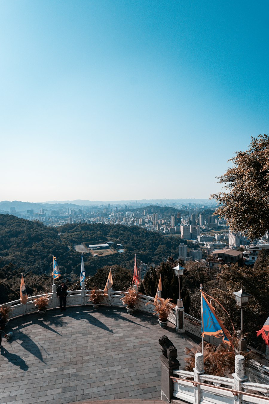 台北城市與廟宇平台景觀